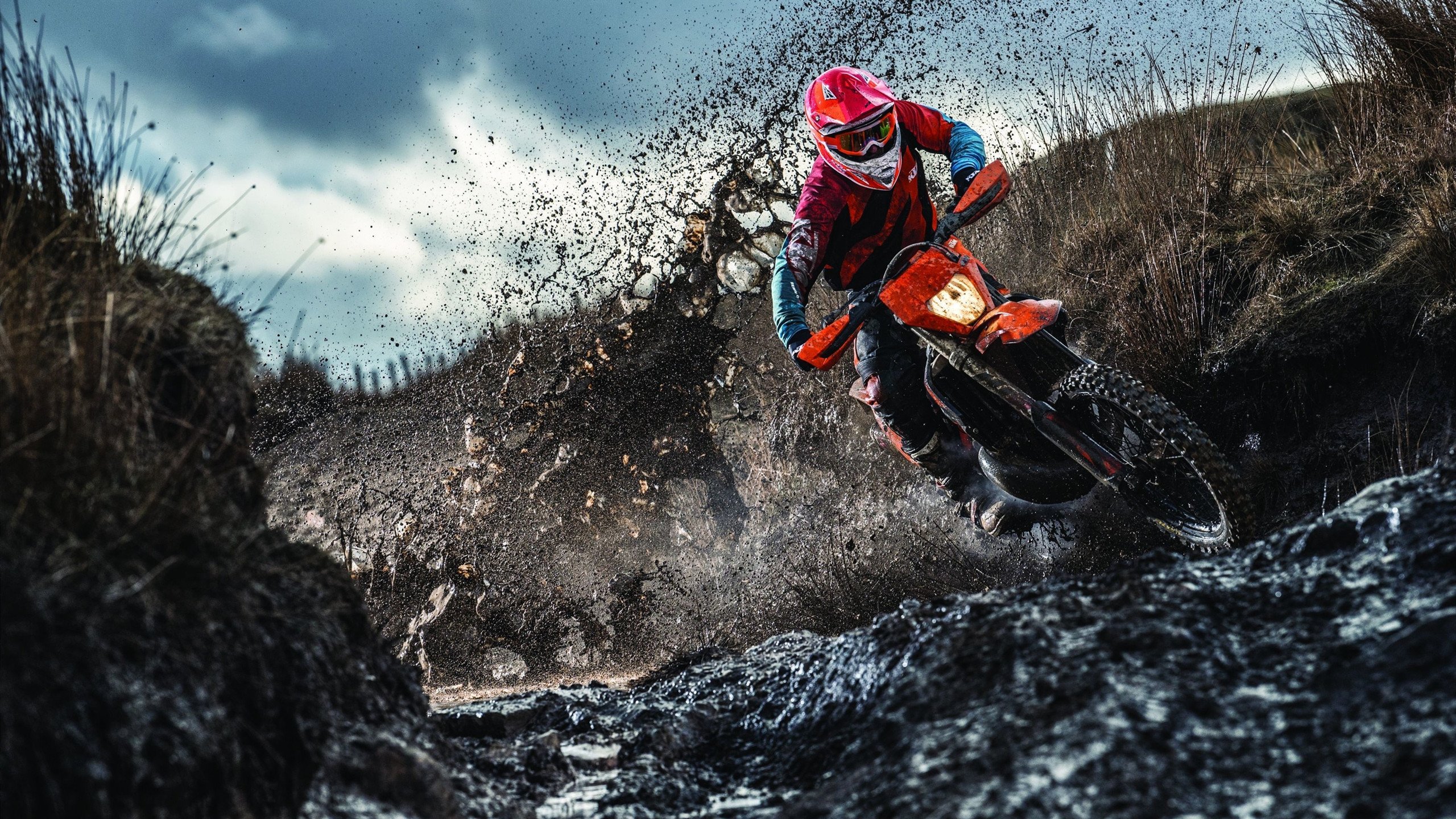 布克压力下完成爆发,湖人提前终结悬念篮网